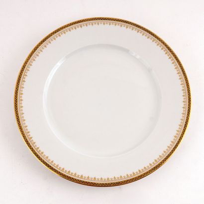 null LIMOGES

Large set of Limoges France Rivoli dinnerware with gilding and plant...