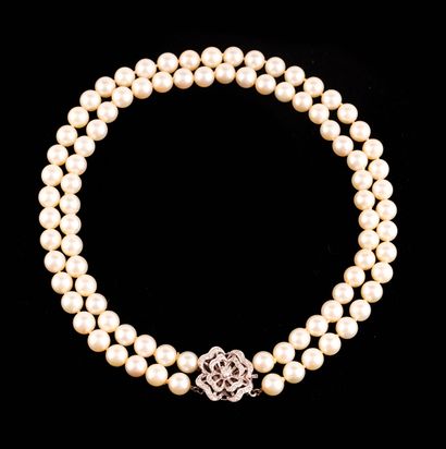 null PEARLS AKOYA 10K GOLD
Choker necklace with two rows of 8.0-8.5mm white Akoya...