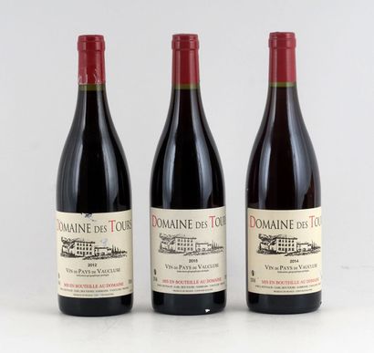 null Domaine des Tours 2012
Vin des Pays de Vaucluse
Niveau A
1 bouteille

Domaine...