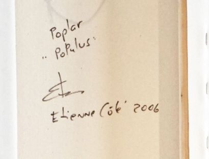 null CÔTÉ, Etienne (1959-)
"Poplar Populus"
Huile sur toile
Signée, titrée et datée...