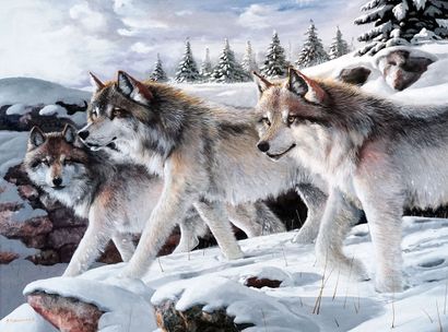 null FERNANDEZ, Amneris (1950-)
Loups
Huile sur toile
Signée en bas à gauche: A.Fernandez
61x76cm...