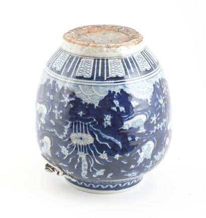 null CHINE / CHINA 

Blue and white jar decorated with a fish's pond. 

Height :...