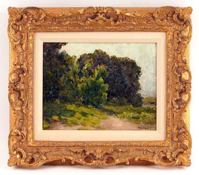 null DE FOY SUZOR-COTÉ, Marc-Aurèle (1869-1937) 
Paysage d'été
Huile sur panneau
Signée...