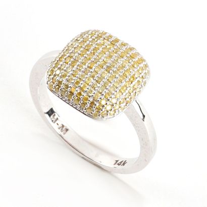 null 14K GOLD DIAMONDS
14K white gold ring paved with diamonds totaling approximately...