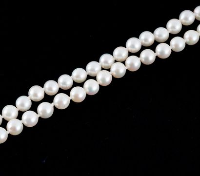 null PEARLS
6.5 -7.0 mm Akoya pearl necklace, 14K yellow gold clasp.
Length: 84cm...