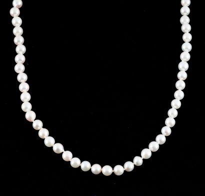 null PEARLS
6.5 -7.0 mm Akoya pearl necklace, 14K yellow gold clasp.
Length: 84cm...