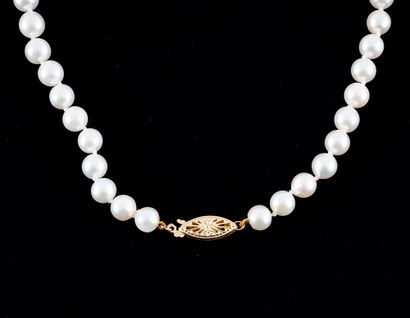 null PEARLS
6.5 -7.0 mm Akoya pearl necklace, 14K yellow gold clasp.
Length: 84cm...