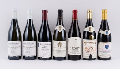 Sélection de Vins de Bourgogne - 7 boute...