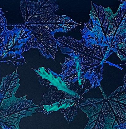 null CARTIER, Jean (1924-1996)
Maple Leaves
Enamel on steel
Signed on the lower right:...