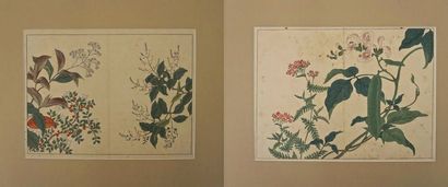 null Lot de 2 estampes représentant des fleurs. Signées. 23.5x31.5cm-9.25x12.5"
