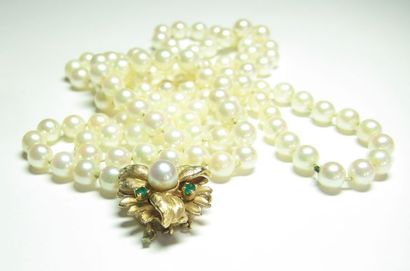 BIRKS Collier de perles de 113 perles, fermoir en or 14kt serti d'une perle et 3...