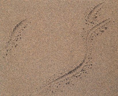 CHANG YOUNG, Kim (1957-) «Sand play 9191» Huile et sable sur tissu marouflé sur panneau...