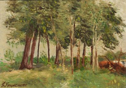FRANCHÈRE, Joseph-Charles (1866-1921) Forêt Huile sur carton Signée en bas à gauche:...