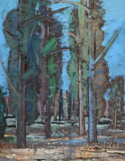 COSGROVE, Stanley Morel (1911-2002) «Landscape in La Tuque, Québec» Huile sur toile...