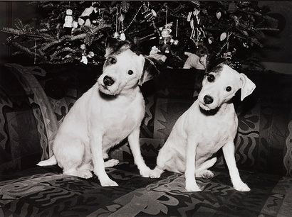 SCHWARTZ, Robin (XXème s.) SCHWARTZ, Robin (XXème s.)

“Irving and Babe” (1995)

Photographie,...