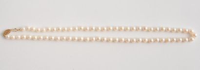 null OR 10K ET PERLES *Collier de perles de culture avec fermoir en or jaune 10K....