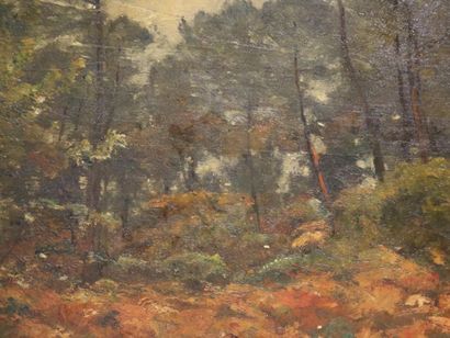 null CABIÉ Louis Alexandre (1854-1939) Forêt d'automne à Pessac, huile sur panneau...