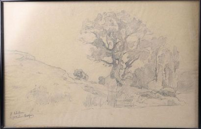 null SEBILLEAU Paul (1847-1907) Paysages dont une vue de Juan les Pins, 
Suite de...
