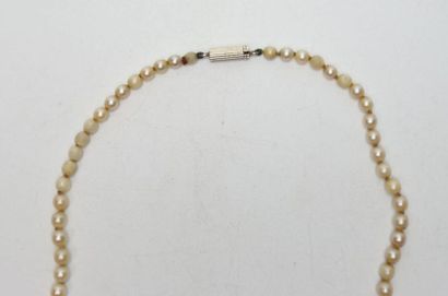 null Collier de perles en chute, fermoir en or blanc - Poids brut : 19.48 g 
