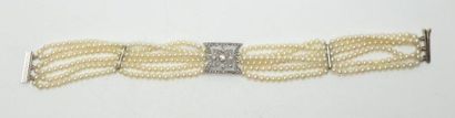 null Bracelet manchette à six rangs de perles fermoir en or blanc sertie de brillants....