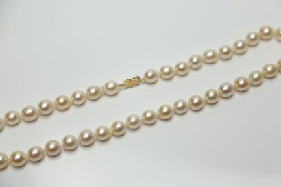 null Collier de 44 perles, fermoir or - Poids brut : 45.25 g / L.45 cm