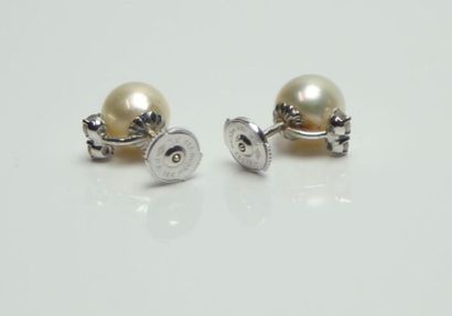null Paire de clous d'oreilles en or blanc serti chacun d'une perle et deux petits...