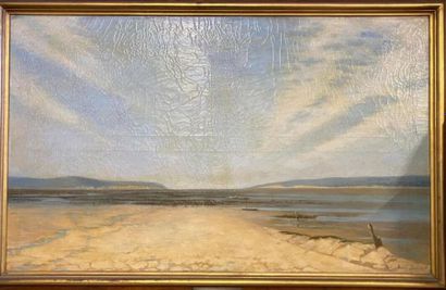 null DULUC Noëly (1864-1952) Vue du Bassin d'Arcachon
huile sur toile signée en bas...