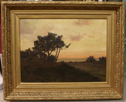 null BOPP DU PONT Léon (1840-1924) Paysage au coucher de soleil - Huile sur toile...