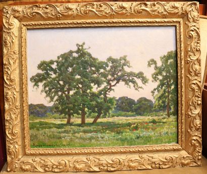 null AUSQUICHOURY Ferdinand (XIX-XX)

Paysage à l'arbre et champ de fleurs

huile...