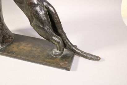 null Georges Lucien GUYOT (1885-1973) Panthère aiguisant ses griffes - Bronze cire...