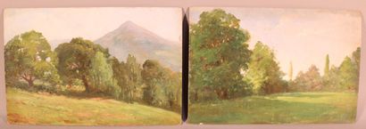 null DULUC Noëly (1864-1952) Deux huiles sur panneau "Forêt" 33x22 cm (Non signé...