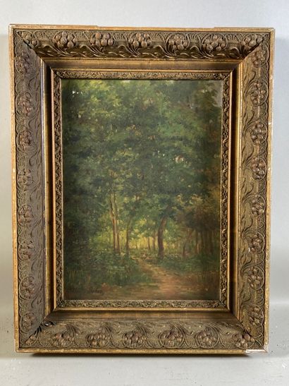 null DULUC Noëly (1864-1952) "Sous-bois" huile sur toile signée en bas à gauche -...