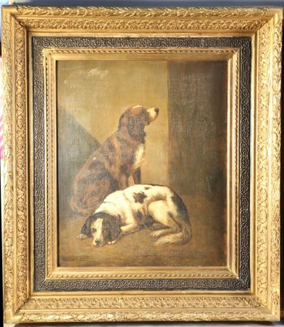 null CHARDIGNY Jules (1842-1892) Portraits de chiens

Paire d'huiles sur toile

55.5...