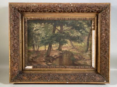 null DULUC Noëly (1864-1952) "Sous-bois" huile sur toile signée en bas à gauche -...