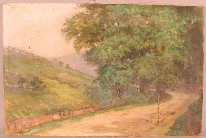 null DULUC Noëly (1864-1952) "Route en bord de forêt" huile sur toile signée en bas...