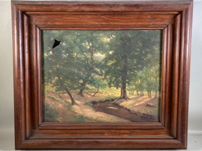 null DULUC Noëly (1864-1952) "Sous-bois à la rivière" huile sur toile signée en bas...