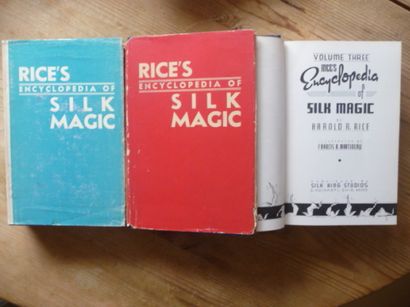 null Rice' s encyclopedia of Silk magie

1542 pages

 Editions Silk King Studios...