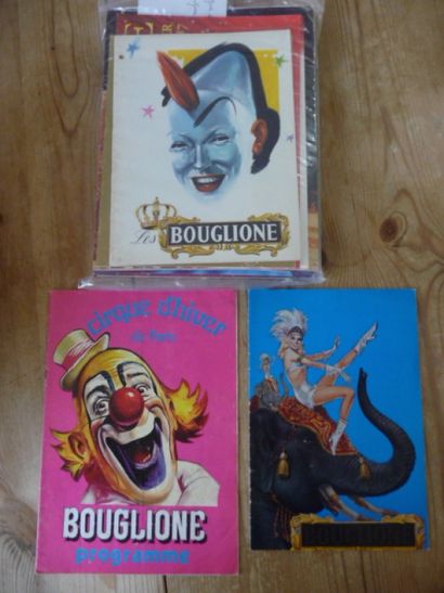 null Lot de programmes Cirques Français

50 exemplaires
