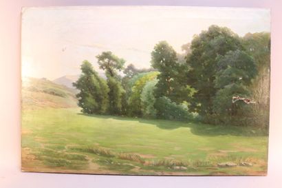 null DULUC Noëly (1864-1952) - "Prairie et forêt" - huile sur toile signée en bas...