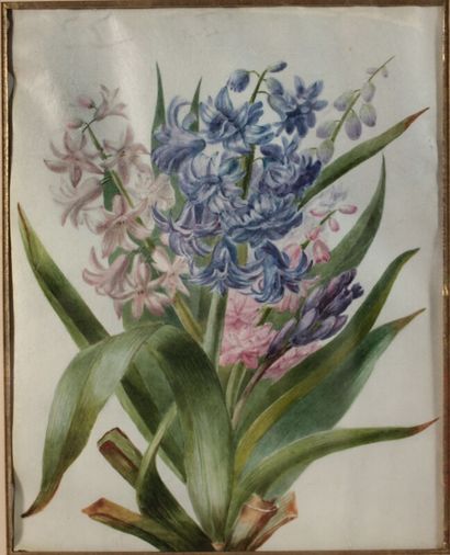null Bouquet de jacinthes 

grande aquarelle sur velin

26 x 20,5 cm

gondolée

encadré...