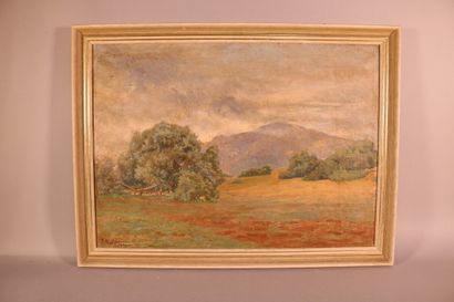 null SIMONI Paolo Antoine (1882-1960) Paysage à Tipaza - Algérie

Huile sur toile...