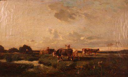 null BRISSOT Franck (act.c.1879) ? "troupeau de vache au pré"- huile sur toile -...
