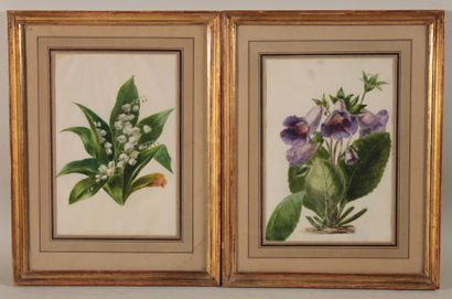 null Muguet et fleurs violettes,

suite de deux aquarelles sur vélin

21 x 14 cm

encadrées...