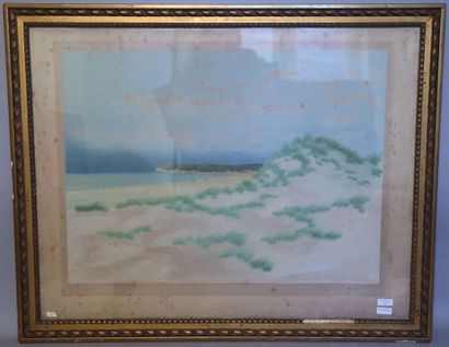 null Vue de dunes et océan

Lithographie signée en bas à droite Ch. Houdard n° 28...