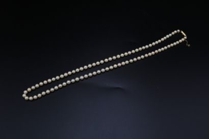 null Collier de perles, fermoir or avec chaînette de sécurité. Poids brut : 39,4...