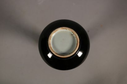 null Chine

Vase balustre à long col en porcelaine noire unie

H. 21 cm