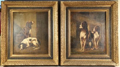 null CHARDIGNY Jules (1842-1892) Portraits of dogs - Pair of oil on canvas - 55.5...