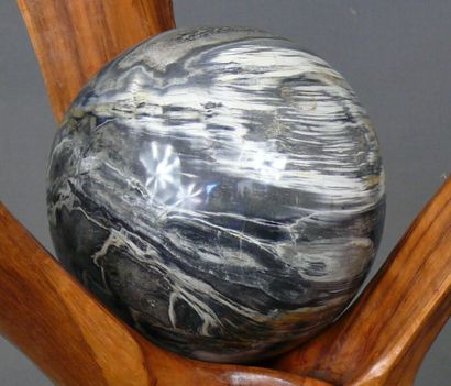 null Carved sphere in petrified wood on a wooden base. 

Diam. 19 cm. - Height 24...