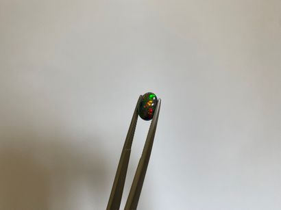 null Cabochon ovale d'opale noire - 1.5 ct