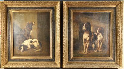 null CHARDIGNY Jules (1842-1892) Portraits de chiens - Paire d'huiles sur toile -...